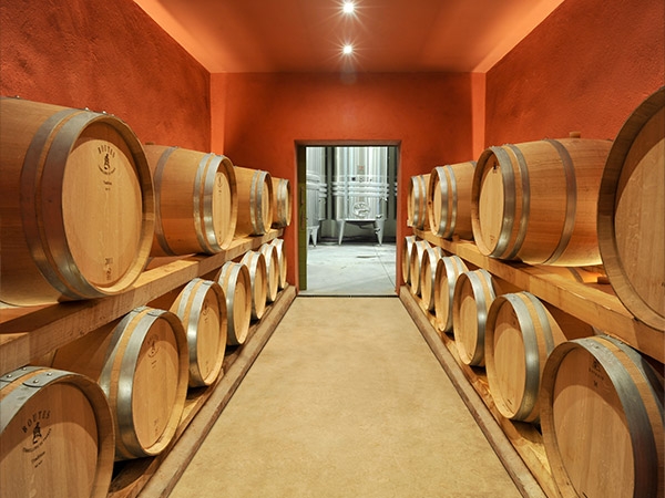 The cellar of domaine des Escaravatiers 1