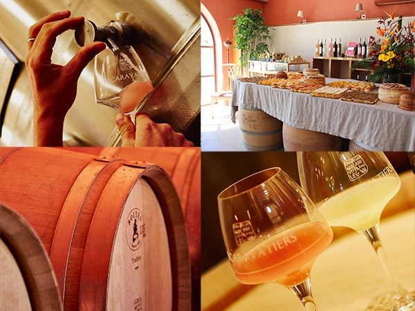 Visit the winery of the Domaine des Escaravatiers 2