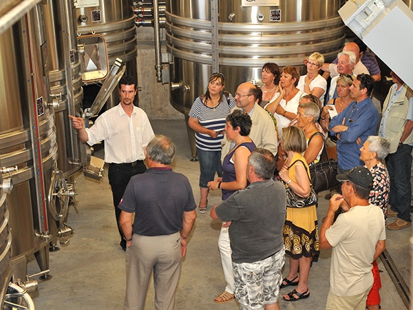 Visit the winery of the Domaine des Escaravatiers 3