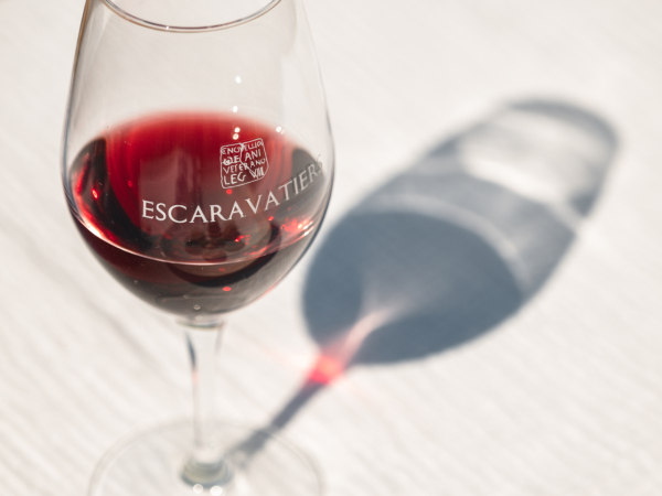 Visit the winery of the Domaine des Escaravatiers 2