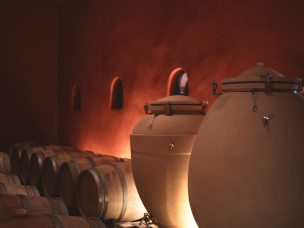 Visit the winery of the Domaine des Escaravatiers 3